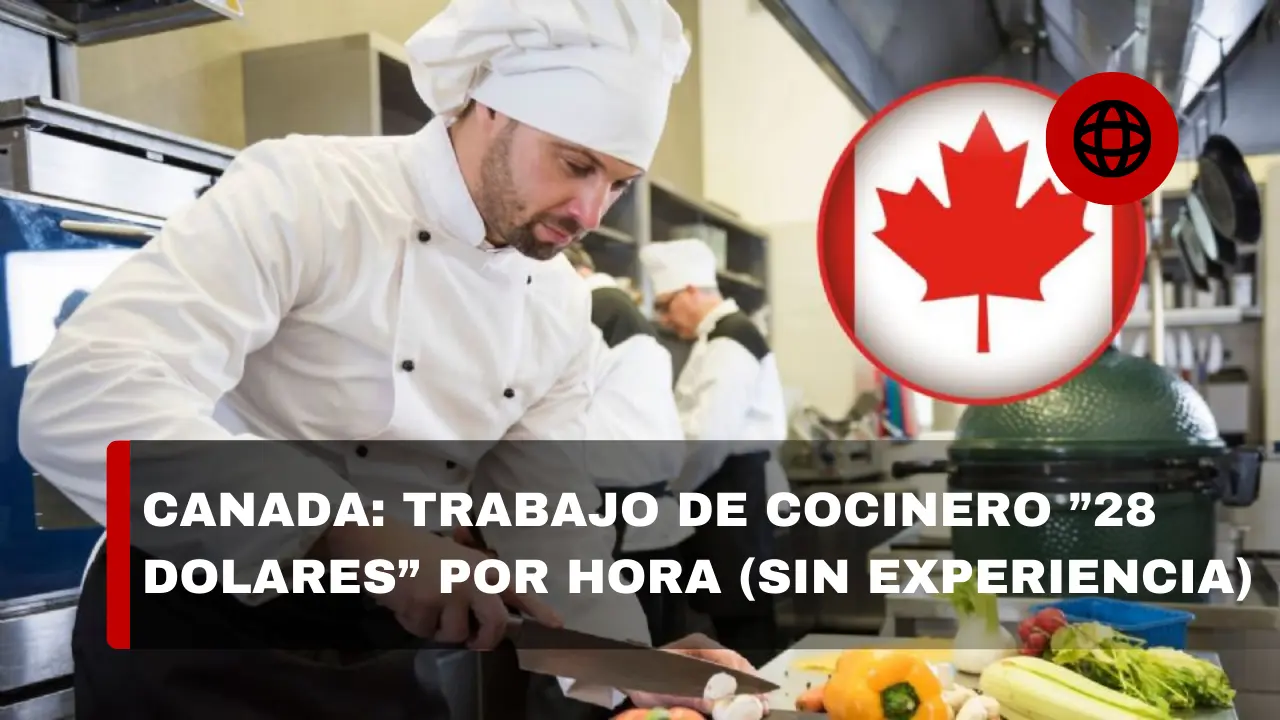 Canadá lanza EMPLEO para COCINEROS con sueldo de 28 dólares por hora